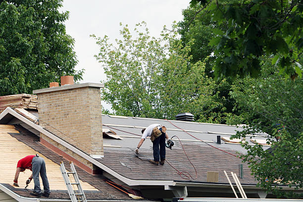 Best Storm Damage Roof Repair  in Plainville, KS