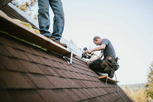 Best Roof Gutter Cleaning  in Plainville, KS